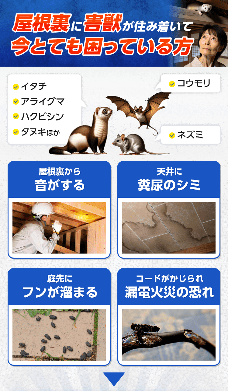 今すぐ助けて欲しい方