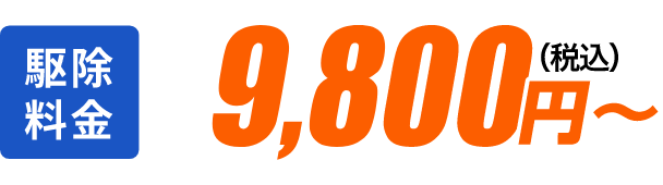 駆除料金9800円（税込）〜