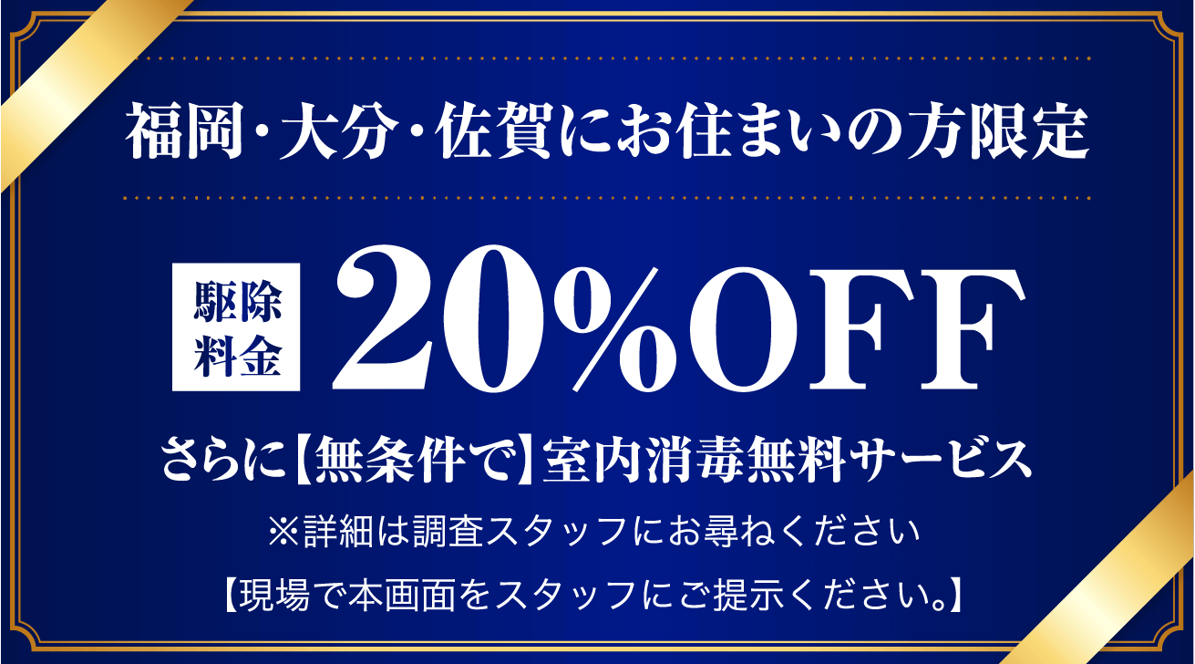 福岡にお住まいの方限定。20%off