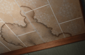 天井に広がるシミと水漏れ被害の状況