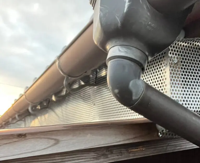 タヌキ駆除作業の現場写真