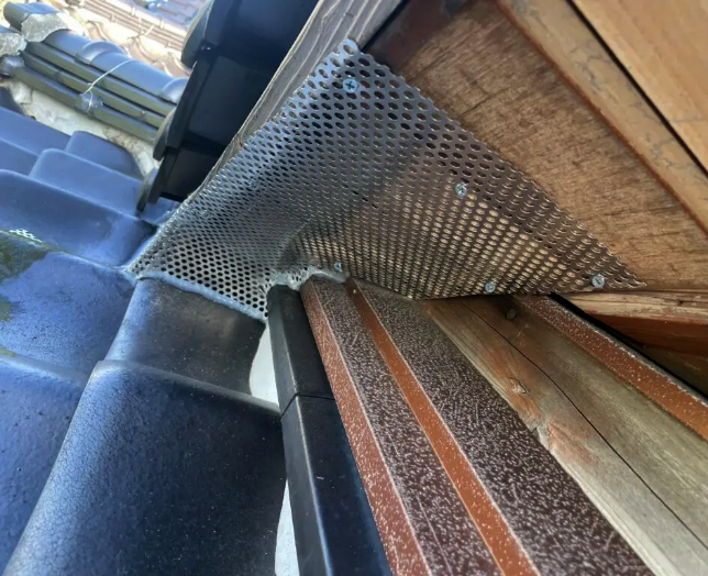 テン・ネズミ駆除作業の現場写真